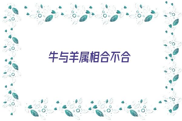 牛与羊属相合不合《牛与羊属相合不合财》