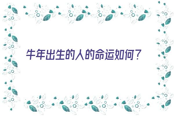 牛年出生的人的命运如何？《牛年出生的人的命运如何》