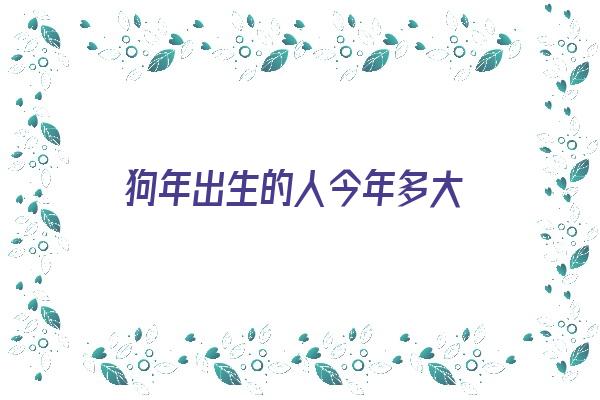 狗年出生的人今年多大《狗年出生的人今年多大岁数》