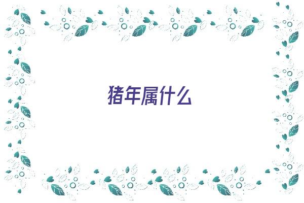 猪年属什么《猪年属什么的生肖是哪年》