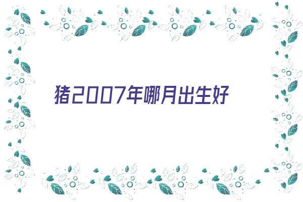 猪2007年哪月出生好《猪2007年几月出生最好》