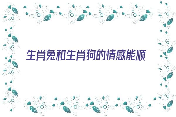 生肖兔和生肖狗的情感能顺利吗《生肖兔和生肖狗的婚姻相配吗?》