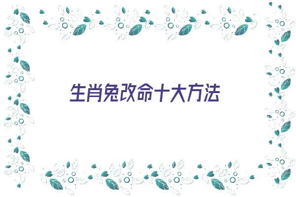 生肖兔改命十大方法《生肖兔改命十大方法图片》