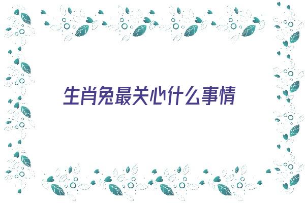 生肖兔最关心什么事情《生肖兔最关心什么事情呢》