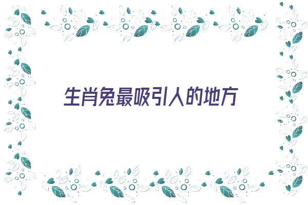 生肖兔最吸引人的地方《生肖兔有什么讨人喜欢的地方》