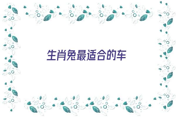  生肖兔最适合的车《属兔适合什么车》 生肖运势