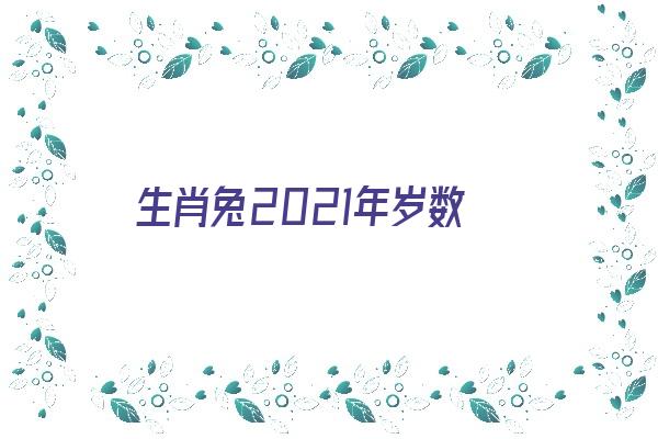 生肖兔2021年岁数《生肖兔2021年年龄》