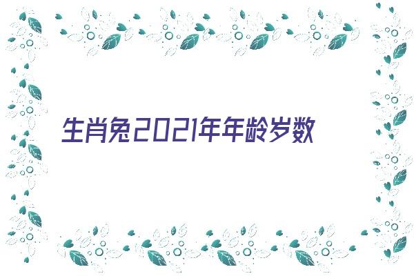 生肖兔2021年年龄岁数《生肖兔2021年年龄岁数是多少》