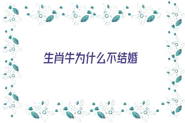 生肖牛为什么不结婚《生肖牛为什么不结婚呢》