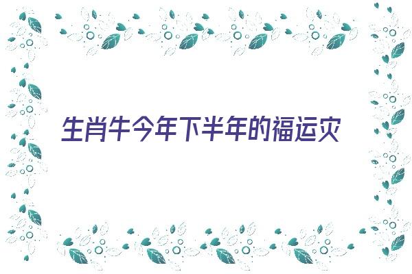 生肖牛今年下半年的福运灾运《生肖牛今年下半年的福运灾运如何》