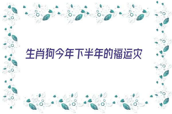 生肖狗今年下半年的福运灾运《生肖狗今年下半年的福运灾运如何》