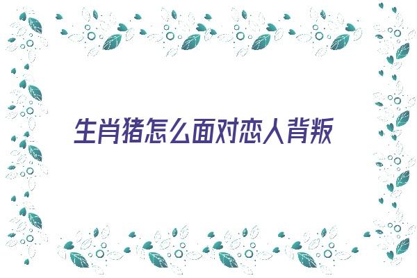 生肖猪怎么面对恋人背叛《生肖猪怎么面对恋人背叛的》