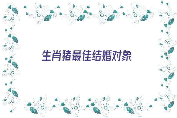 生肖猪最佳结婚对象《生肖猪最佳结婚对象是什么》