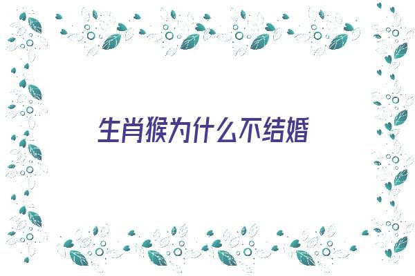 生肖猴为什么不结婚《生肖猴为什么不结婚呢》