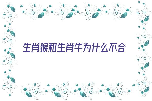 生肖猴和生肖牛为什么不合适《生肖猴和生肖牛为什么不合适结婚》