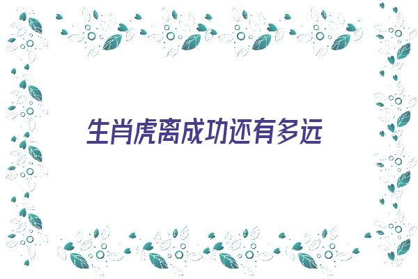 生肖虎离成功还有多远《生肖虎今年会离婚吗》