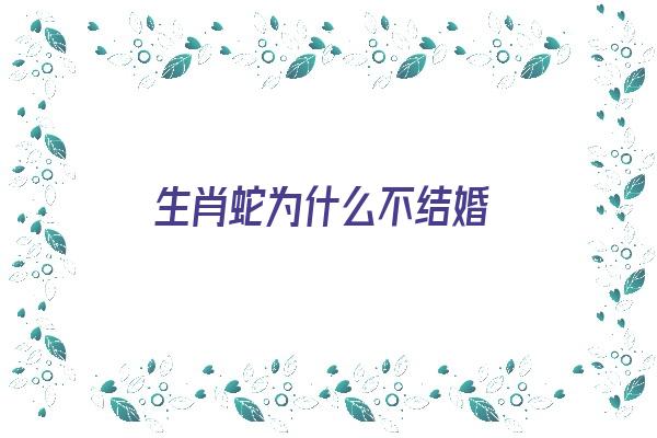 生肖蛇为什么不结婚《生肖蛇为什么不结婚呢》