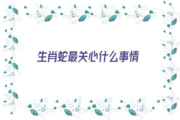 生肖蛇最关心什么事情《生肖蛇最关心什么事情和人》