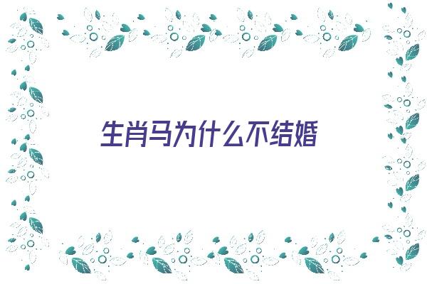 生肖马为什么不结婚《生肖马为什么不结婚呢》