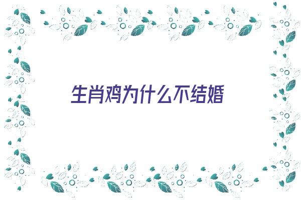 生肖鸡为什么不结婚《生肖鸡为什么不结婚呢》