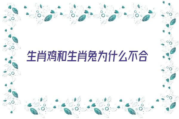 生肖鸡和生肖兔为什么不合适呢《生肖鸡和生肖兔为什么不和》