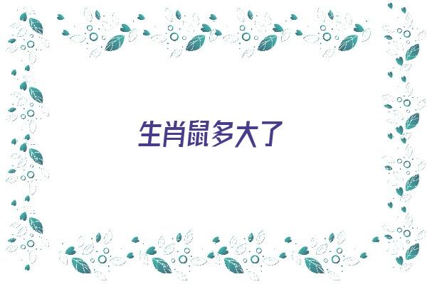  生肖鼠多大了《生肖鼠多大了今年》 生肖运势