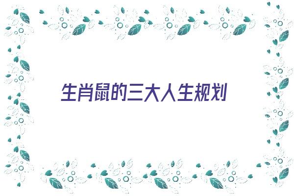 生肖鼠的三大人生规划《生肖鼠:一生如何》