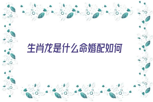 生肖龙是什么命婚配如何《生肖龙的最佳婚配属相》