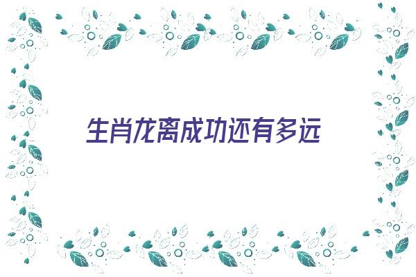 生肖龙离成功还有多远《2021年生肖龙会离婚吗》