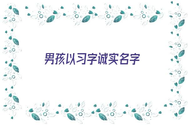  男孩以习字诚实名字《诚的名字男孩名字》 姓名配对