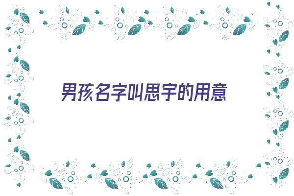 男孩名字叫思宇的用意《男孩名字叫思宇的用意是什么》