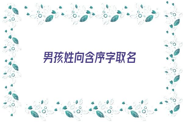  男孩姓向含序字取名《男孩姓向含序字取名怎么取》 姓名配对