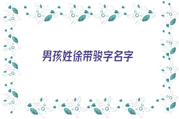 男孩姓徐带骏字名字《男孩姓徐带骏字名字大全》