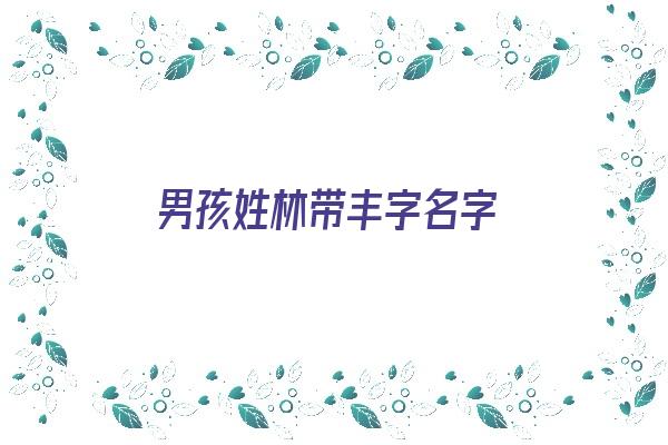 男孩姓林带丰字名字《男孩姓林带丰字名字大全》