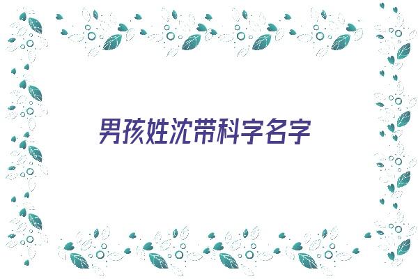 男孩姓沈带科字名字《男孩姓沈带科字名字大全》