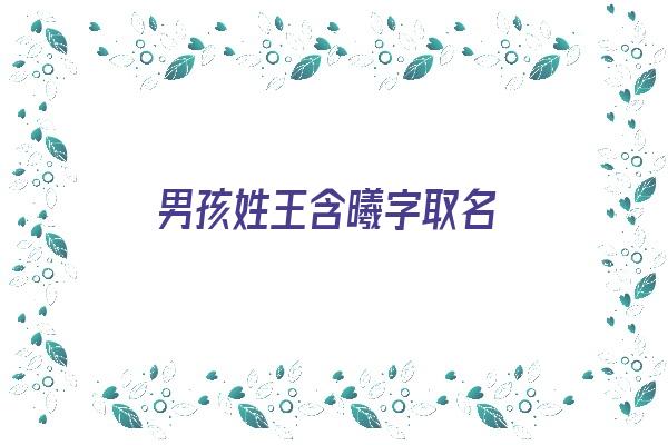 男孩姓王含曦字取名《男孩姓王含曦字取名怎么取》