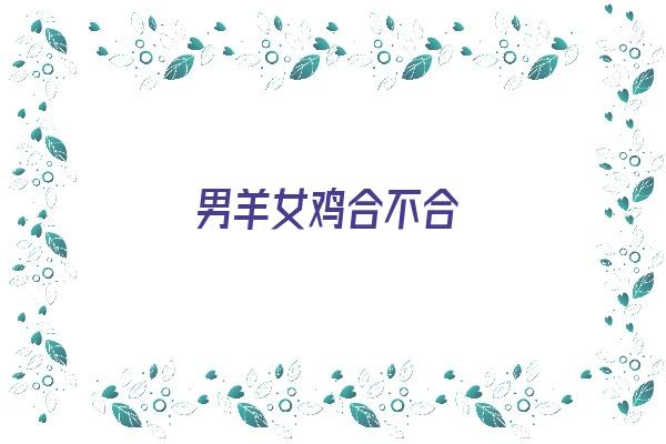  男羊女鸡合不合《男羊女鸡合不合财》 生肖运势