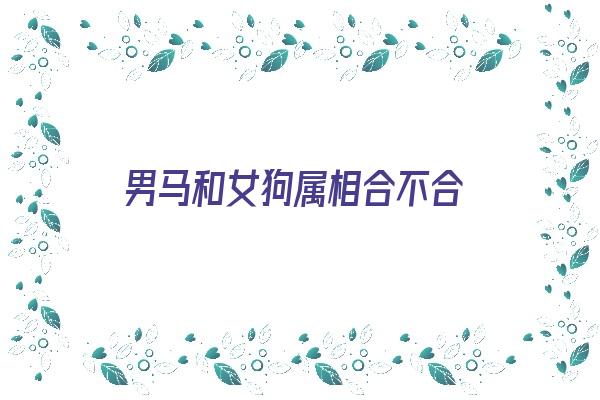  男马和女狗属相合不合《男马和女狗属相合不合适》 生肖运势