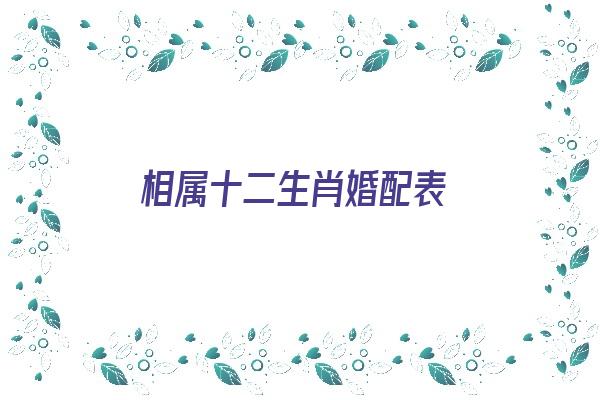 相属十二生肖婚配表《相属十二生肖婚配表图片》