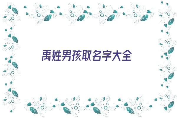 禹姓男孩取名字大全《禹姓男孩取名字大全两个字》