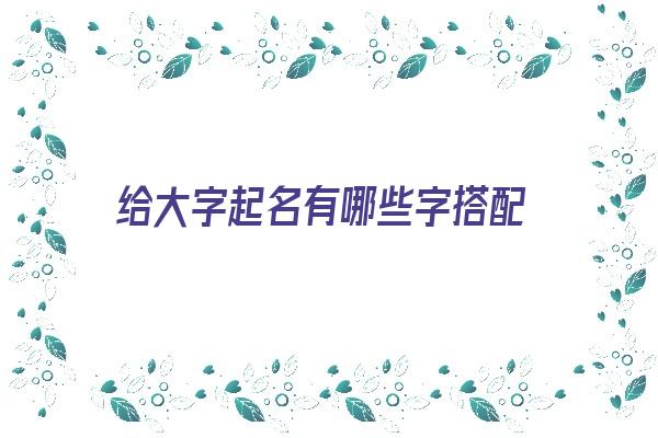 给大字起名有哪些字搭配《给大字起名有哪些字搭配好听》