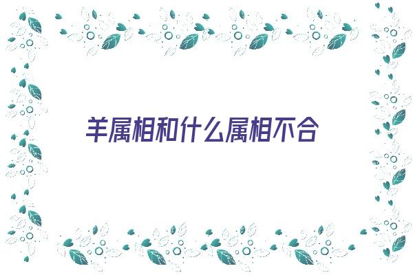 羊属相和什么属相不合《羊属相和什么属相不合适》