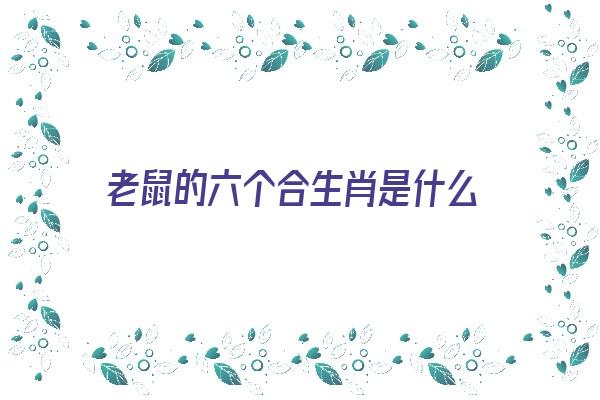 老鼠的六个合生肖是什么《老鼠的六个合生肖是什么动物》