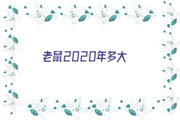 老鼠2020年多大《2020年老鼠多大了》