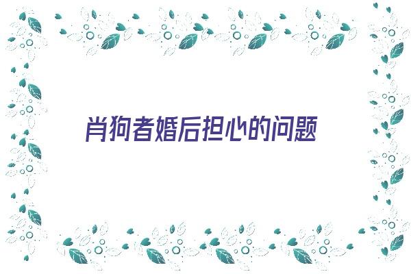 肖狗者婚后担心的问题《属狗婚后怎么样》