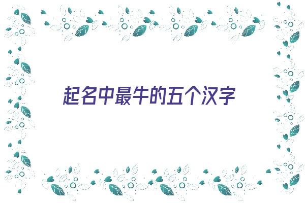 起名中最牛的五个汉字《起名中最牛的五个汉字是什么》