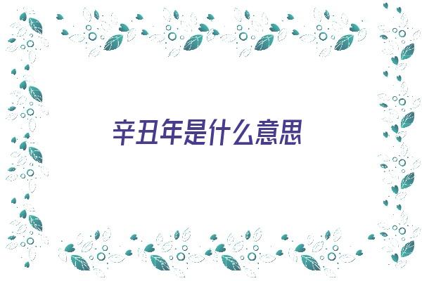 辛丑年是什么意思《庚子辛丑年是什么意思》