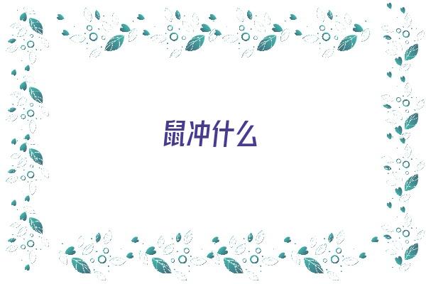 鼠冲什么《鼠冲什么生肖》