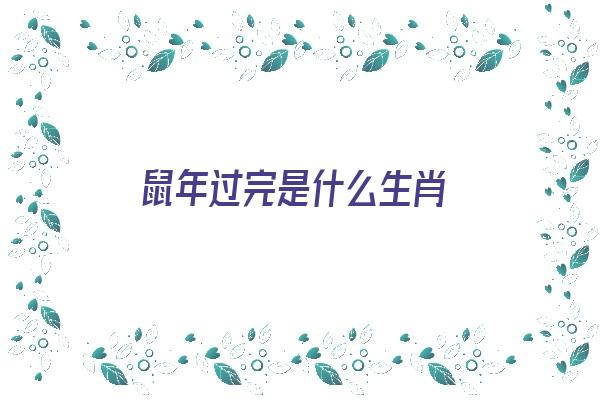  鼠年过完是什么生肖《鼠年过完是什么生肖啊》 生肖运势