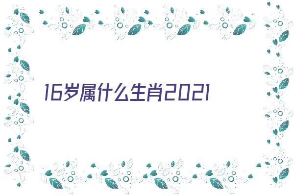 16岁属什么生肖2021《16岁属什么生肖2021年》